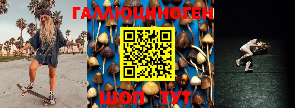 Фурманов  Псилоцибиновые грибы Psilocybine cubensis  Галлюциногенные грибы прущие грибы  Вход с VPN 